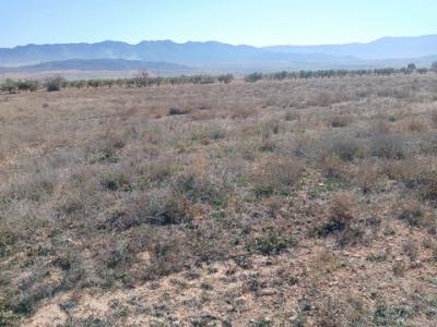 Acheter Terrain 22874 m2 Yecla