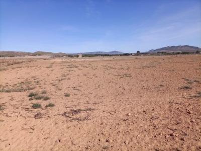 Acheter Terrain 22000 m2 Yecla
