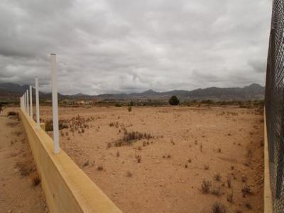 Annonce Vente Terrain Abanilla