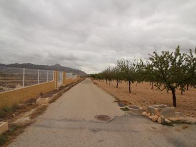 Acheter Terrain Abanilla rgion MURCIA