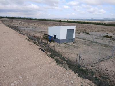 Annonce Vente Terrain Yecla