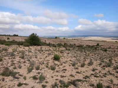 Acheter Terrain Yecla rgion MURCIA