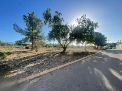 Acheter Terrain Pinoso rgion ALICANTE