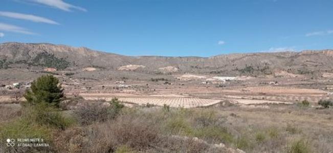 Annonce Vente Terrain La-romana