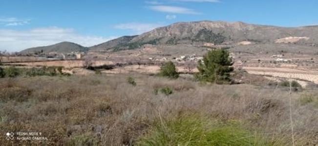 Acheter Terrain La-romana rgion ALICANTE