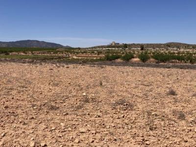 Acheter Terrain 14000 m2 Pinoso