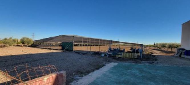 Acheter Maison 1013 m2 San-miguel-de-salinas