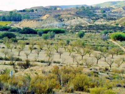 Annonce Vente Terrain Orihuela