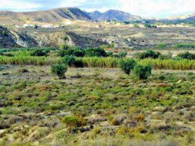 Acheter Terrain 32767 m2 Orihuela