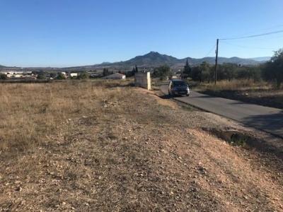 Annonce Vente Terrain Salinas