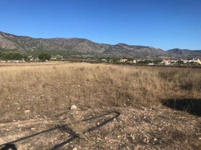 Acheter Terrain 14000 m2 Salinas