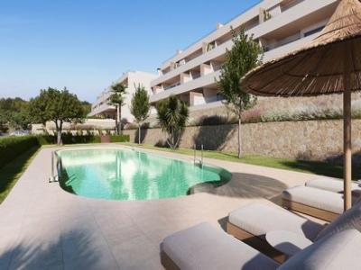 Acheter Appartement 181 m2 Orihuela