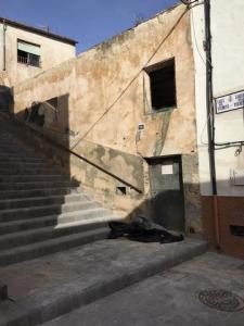 Annonce Vente Terrain Onil
