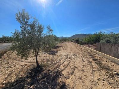 Acheter Terrain 18088 m2 Salinas