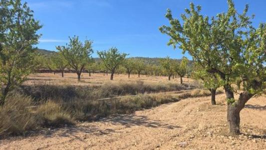 Annonce Vente Terrain Salinas