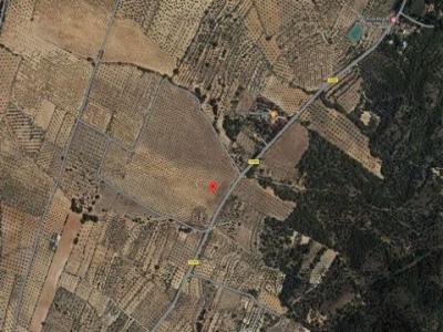 Annonce Vente Terrain Biar