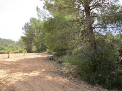 Acheter Terrain Yecla rgion MURCIA
