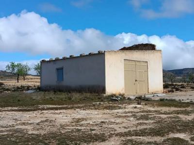 Annonce Vente Terrain Yecla