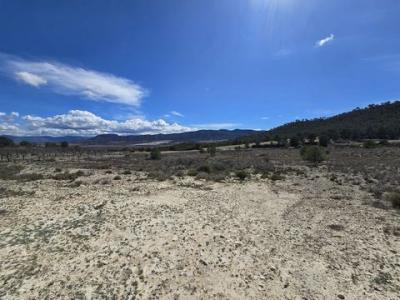 Annonce Vente Terrain Salinas