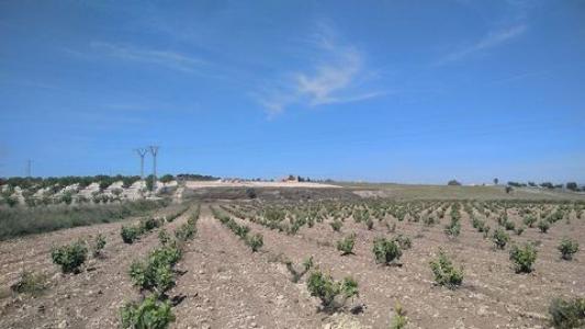 Annonce Vente Maison Canada-del-trigo