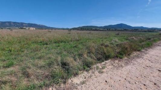 Annonce Vente Terrain Salinas