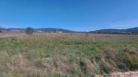 Acheter Terrain Salinas rgion ALICANTE
