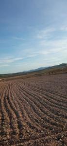 Acheter Terrain 32767 m2 Salinas