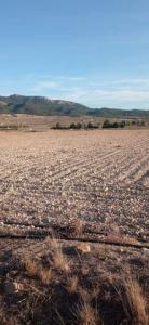 Acheter Terrain Salinas rgion ALICANTE