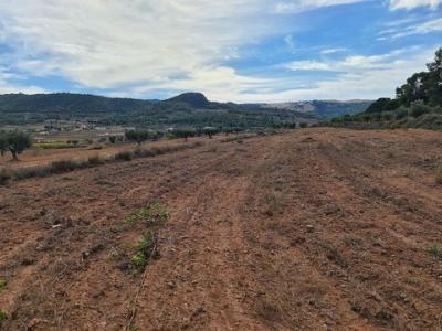 Vente Terrain Pinoso  A en Espagne