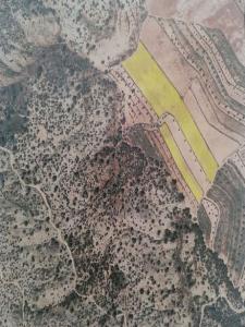 Annonce Vente Terrain Pinoso