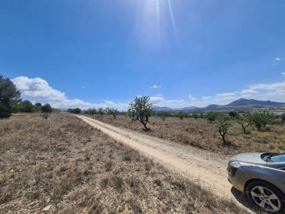 Vente Terrain Sax  A en Espagne