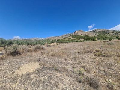Annonce Vente Terrain Sax