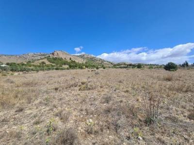 Acheter Terrain Sax rgion ALICANTE