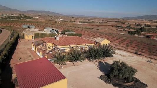 Annonce Vente Maison Pinoso