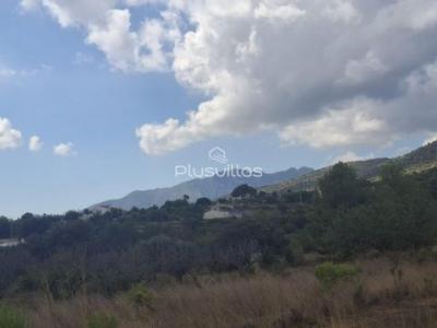 Vente Terrain Benicolada  A en Espagne