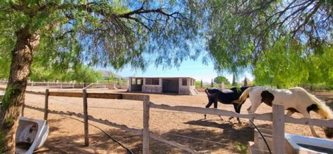 Acheter Maison 194 m2 La-romana