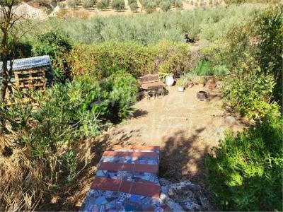 Acheter Maison Antequera rgion MALAGA