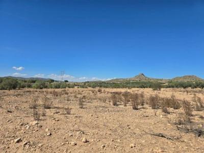 Annonce Vente Terrain Salinas