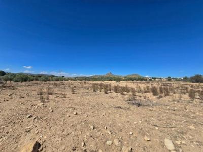 Acheter Terrain 13753 m2 Salinas