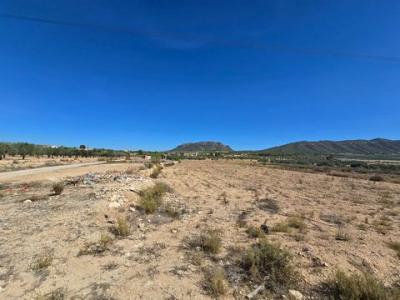 Acheter Terrain Salinas rgion ALICANTE