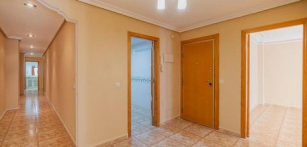 Acheter Appartement Torrevieja rgion ALICANTE