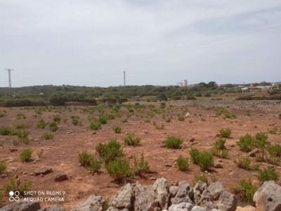 Acheter Terrain 200 m2 Alaior