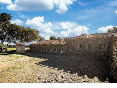 Acheter Maison 150 m2 Es-mercadal