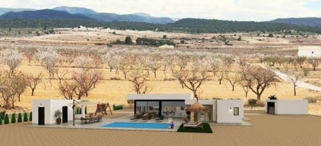 Acheter Maison 184 m2 Pinoso