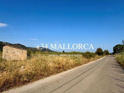 Annonce Vente Terrain Llucmajor