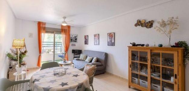 Acheter Appartement San-miguel-de-salinas rgion ALICANTE