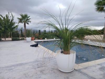 Acheter Maison 227 m2 Sax