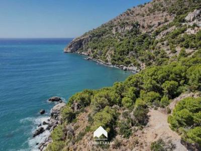 Annonce Vente Terrain La-herradura