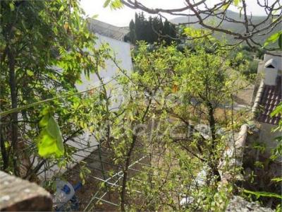 Annonce Vente Terrain Bobadilla-de-alcaudete