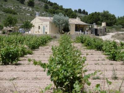 Annonce Vente Maison Yecla